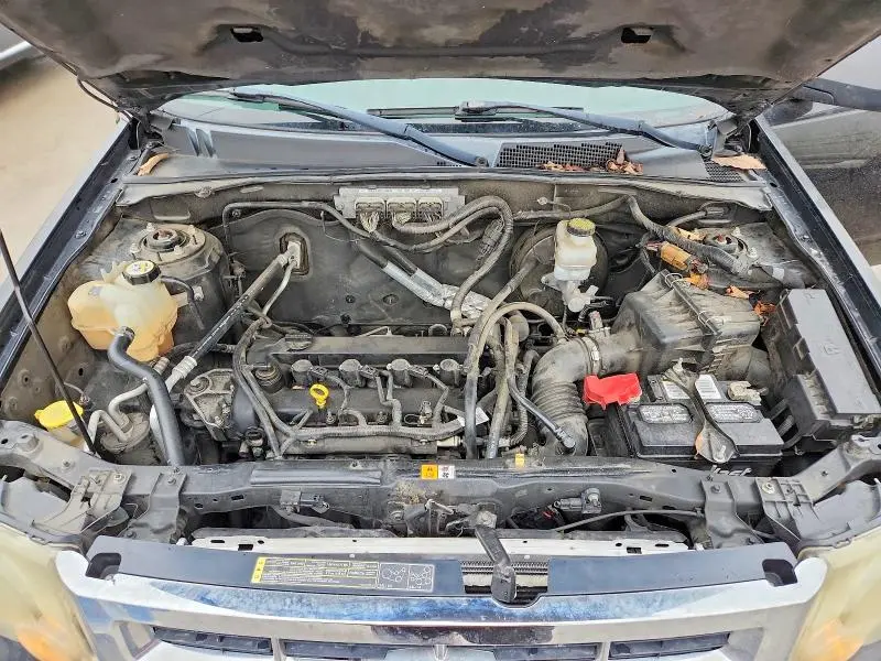 2011 FORD ESCAPE XLT  