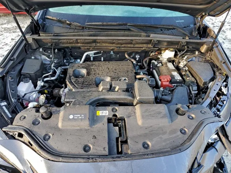 2025 LEXUS NX 250 BASE  