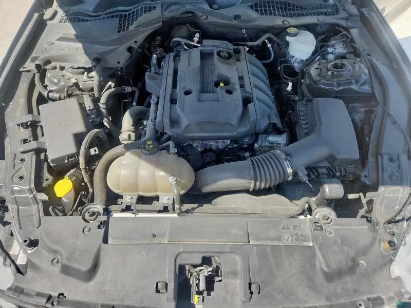 2019 FORD MUSTANG   