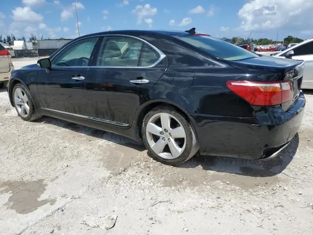 2010 LEXUS LS 460  