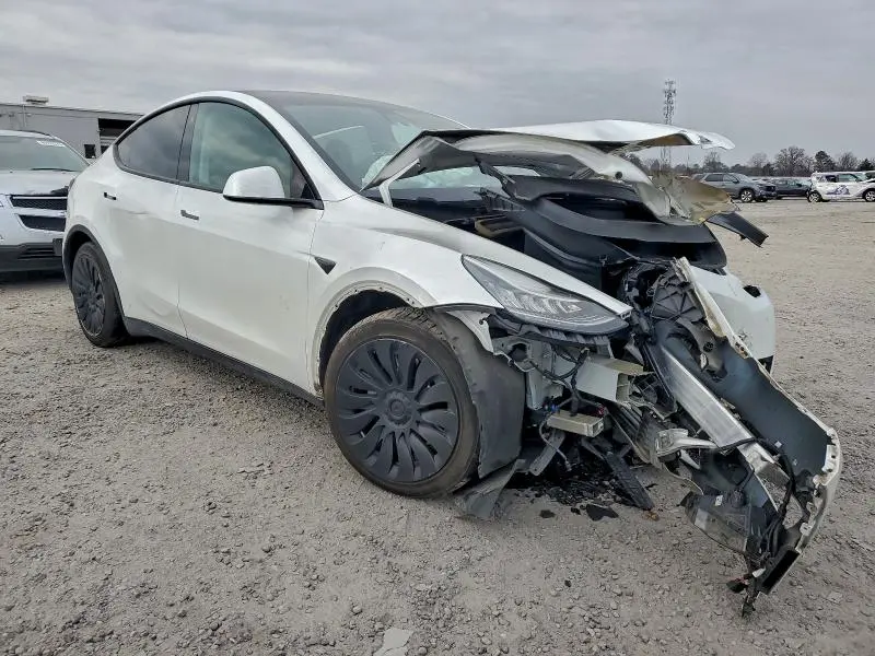 2020 TESLA MODEL Y   