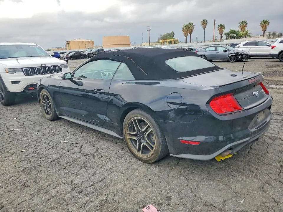 2019 FORD MUSTANG   