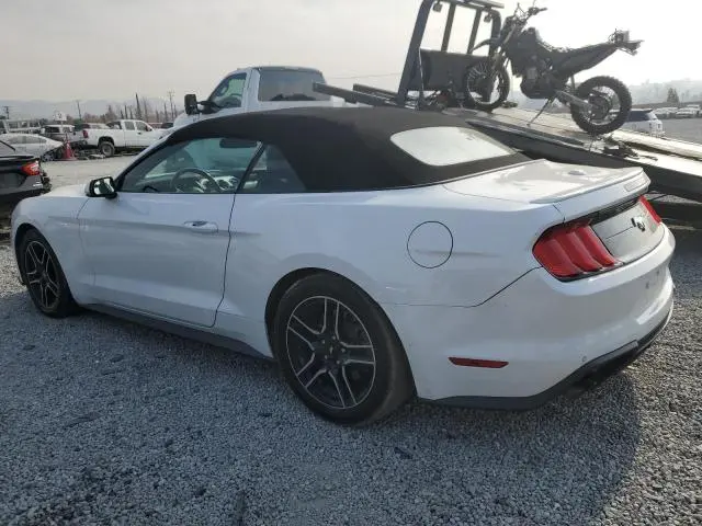 2019 FORD MUSTANG   