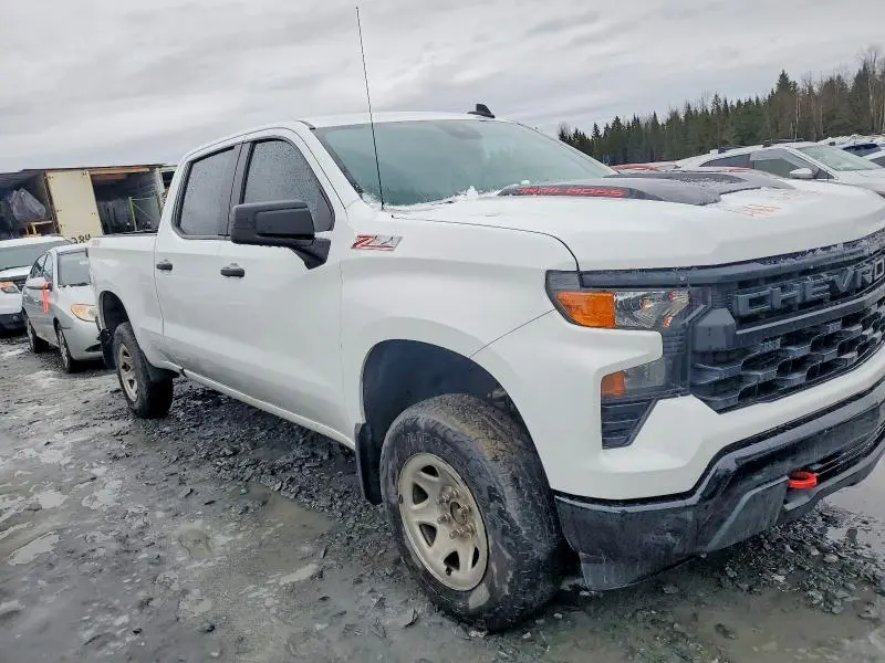 2024 CHEVROLET SILVERADO   