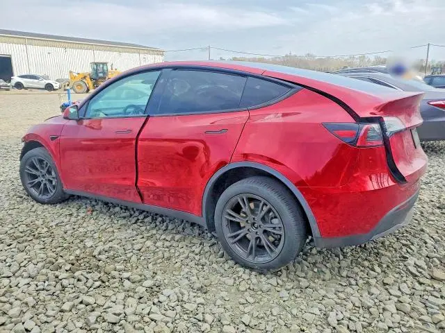 2025 TESLA MODEL Y   