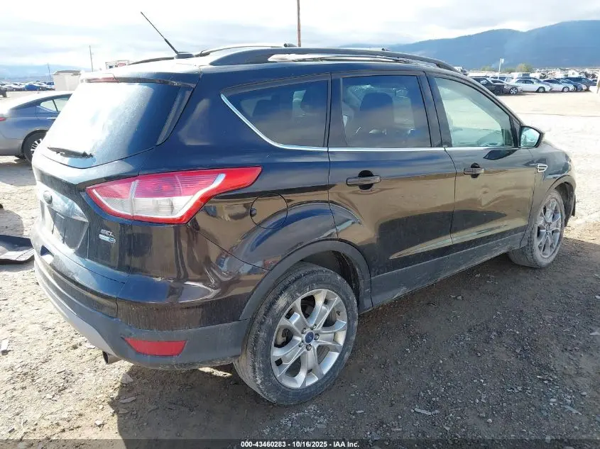 2013 FORD ESCAPE SEL