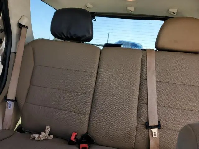 2010 FORD ESCAPE XLT  