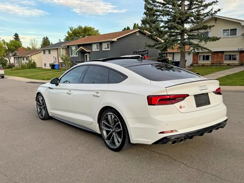 2019 AUDI S5 PREMIUM PLUS  