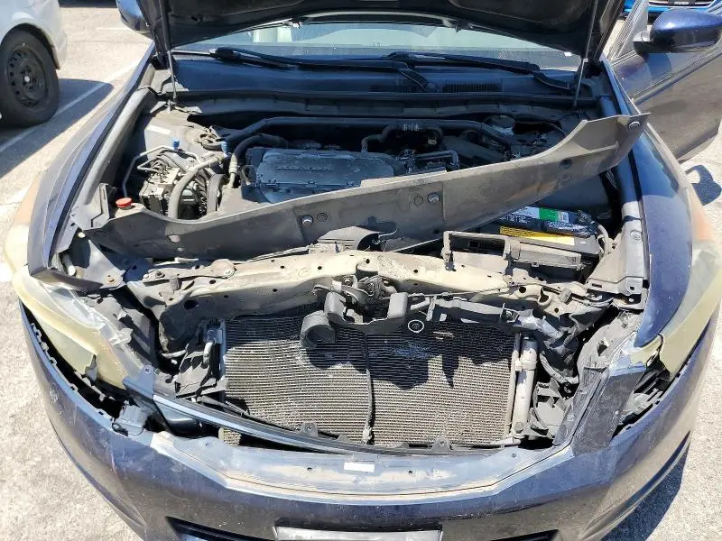 2010 HONDA ACCORD EXL  