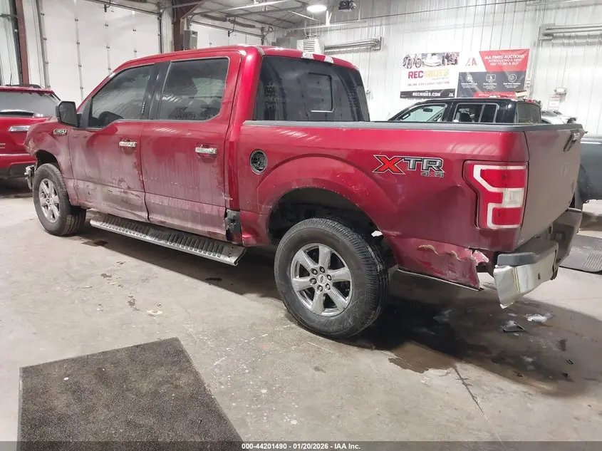 2019 FORD F-150 XLT