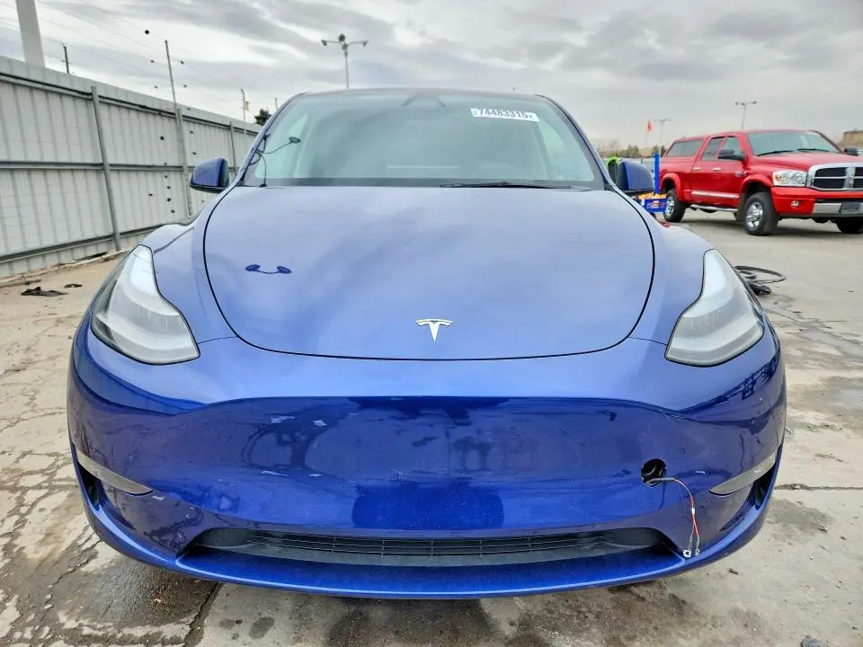 2024 TESLA MODEL Y   