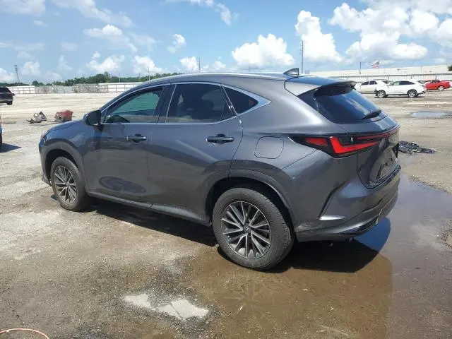 2023 LEXUS NX 250  