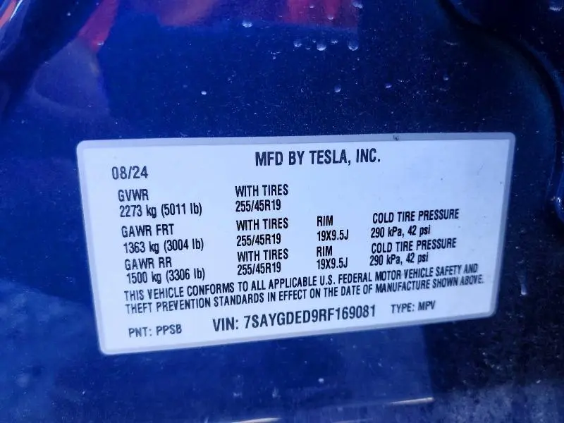 2024 TESLA MODEL Y   
