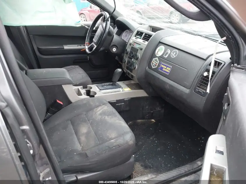 2011 FORD ESCAPE XLT