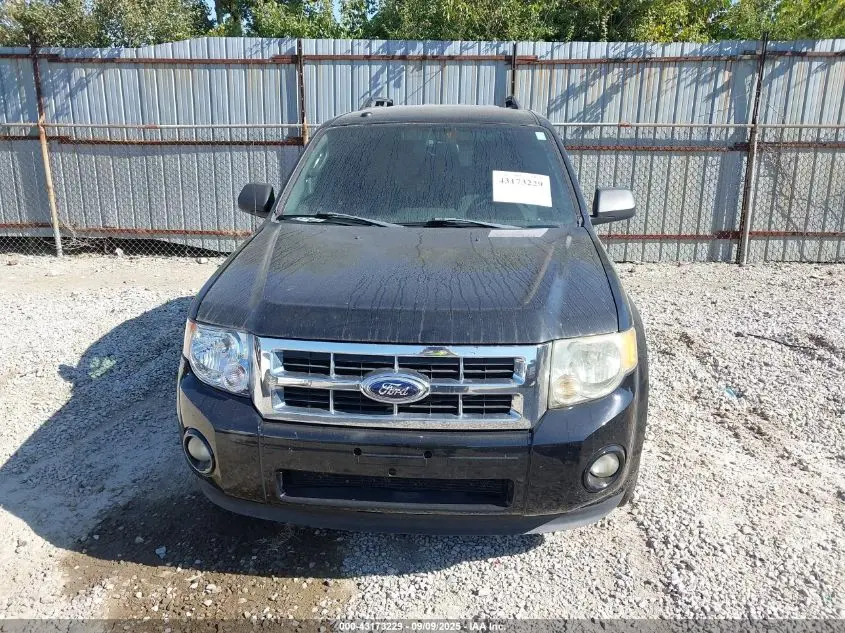 2012 FORD ESCAPE XLT