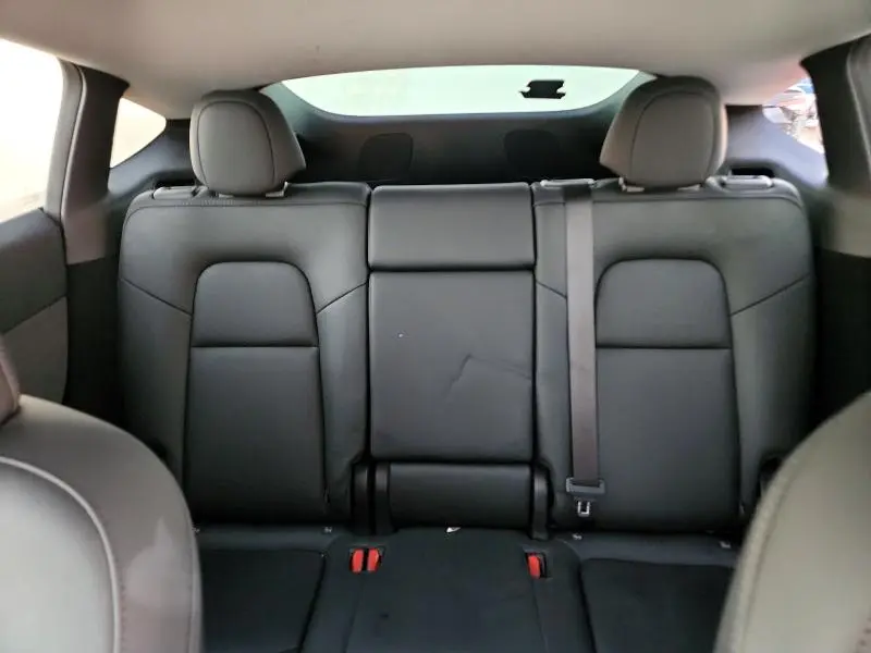 2025 TESLA MODEL Y   