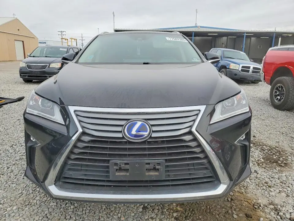 2019 LEXUS RX   