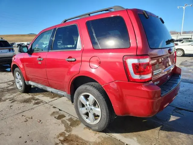 2012 FORD ESCAPE XLT  