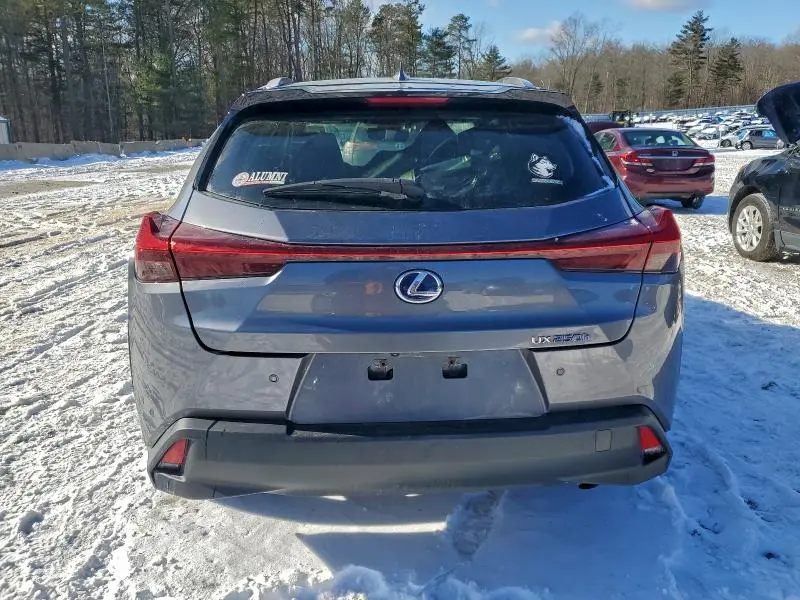 2019 LEXUS UX 250H  