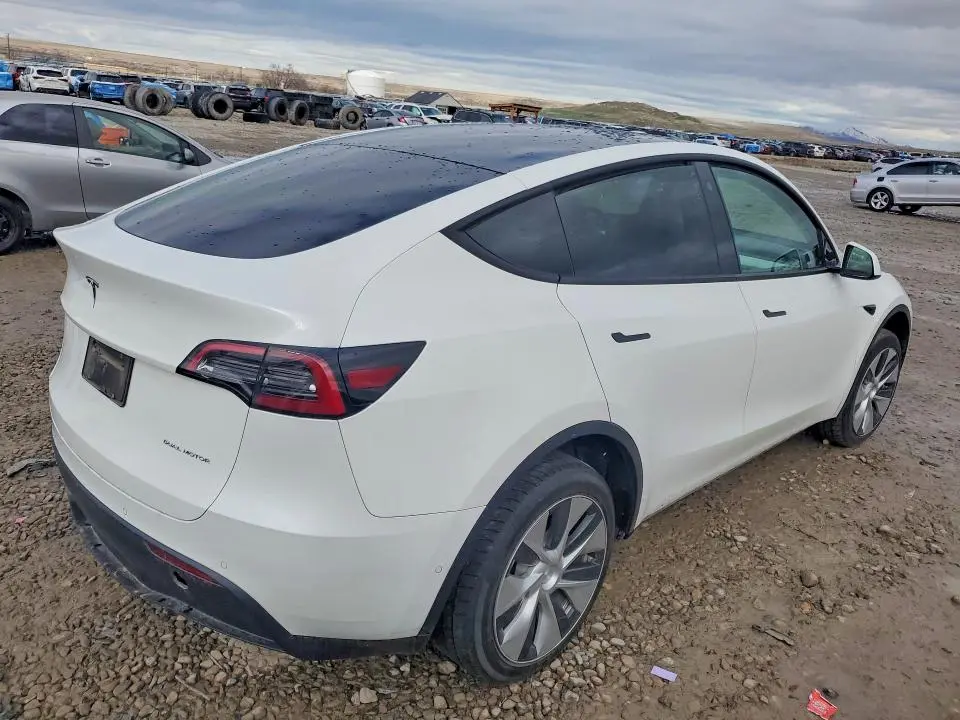 2021 TESLA MODEL Y   