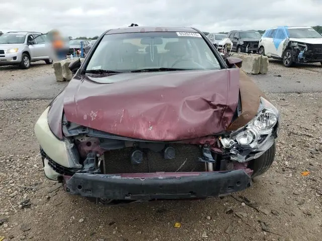 2010 HONDA ACCORD EXL  
