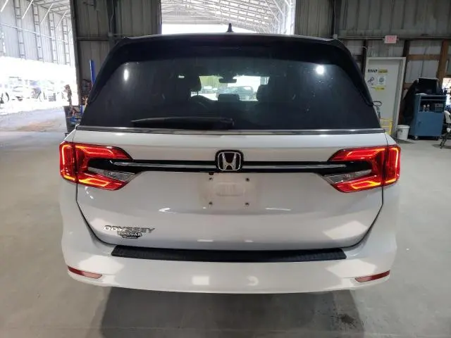 2024 HONDA ODYSSEY EXL
