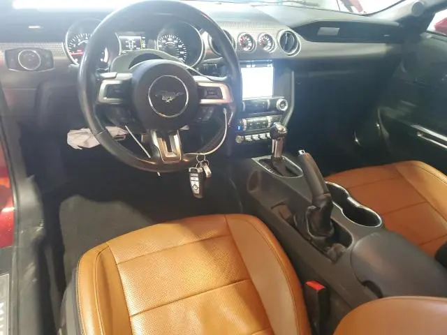 2019 FORD MUSTANG   