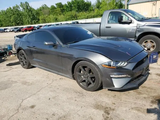 2019 FORD MUSTANG   