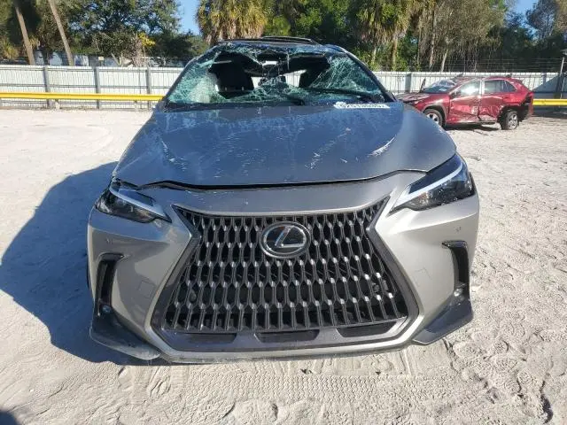 2023 LEXUS NX 350  