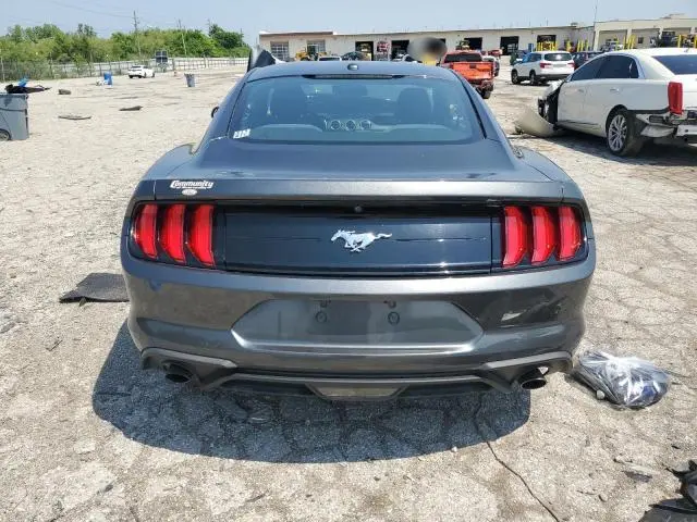 2019 FORD MUSTANG   