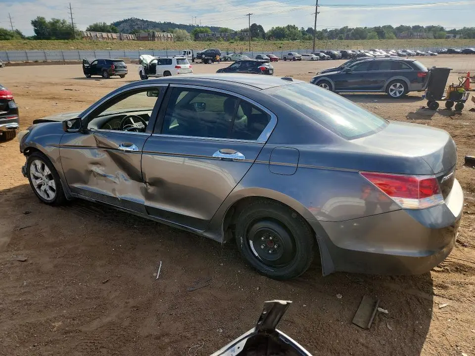 2010 HONDA ACCORD EXL  