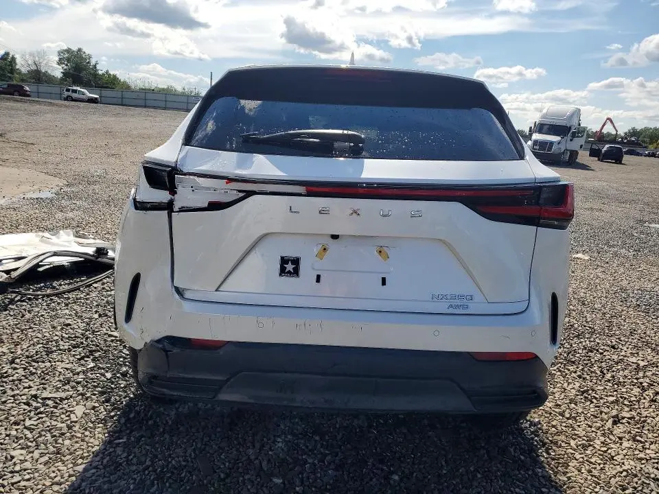 2025 LEXUS NX 350 BASE  