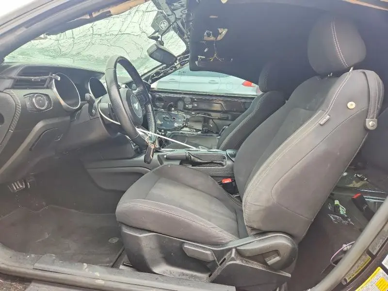 2019 FORD MUSTANG   