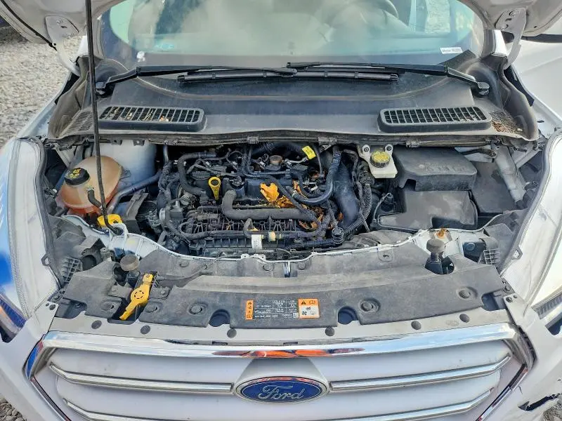 2019 FORD ESCAPE SE  