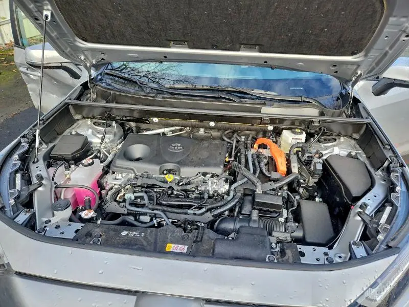 2025 TOYOTA RAV4 XLE  