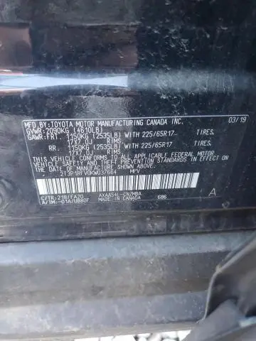 2019 TOYOTA RAV4 XLE  