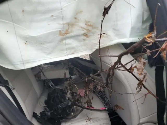 2019 MERCEDES-BENZ CLA 250