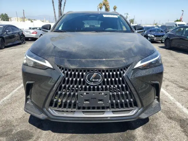 2024 LEXUS NX 350 BASE  