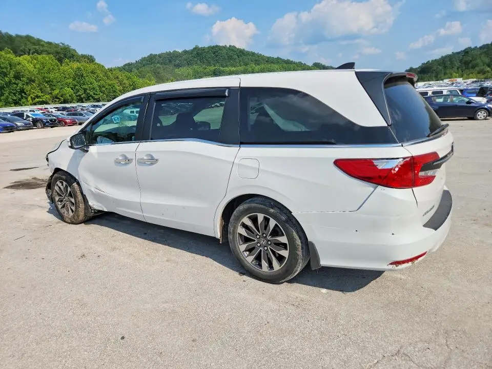2024 HONDA ODYSSEY EXL  