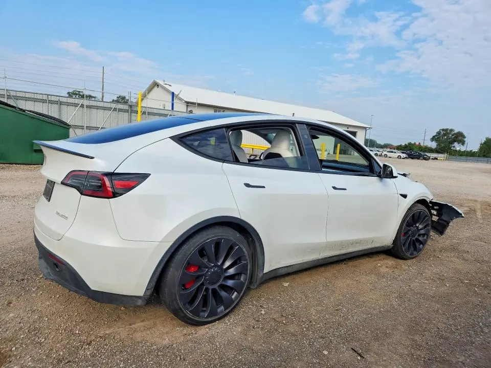 2024 TESLA MODEL Y   