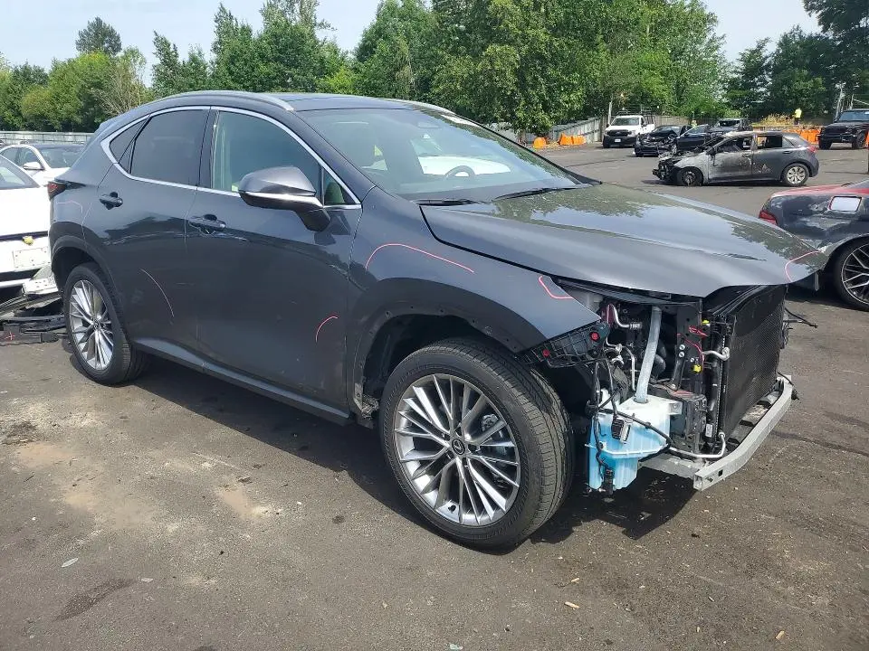 2024 LEXUS NX 350 LUXURY  