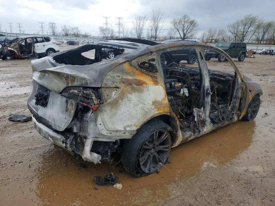 2024 TESLA MODEL Y   