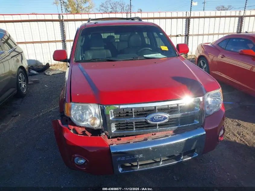 2010 FORD ESCAPE LIMITED