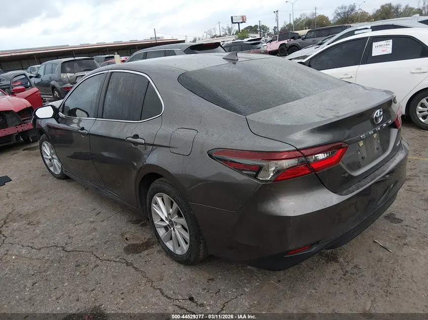2024 TOYOTA CAMRY LE