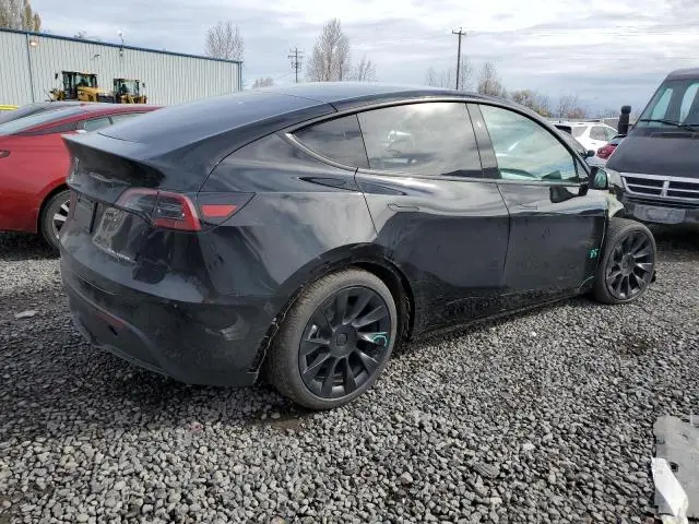 2025 TESLA MODEL Y   
