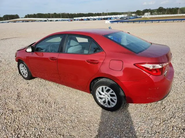 2019 TOYOTA COROLLA LE  