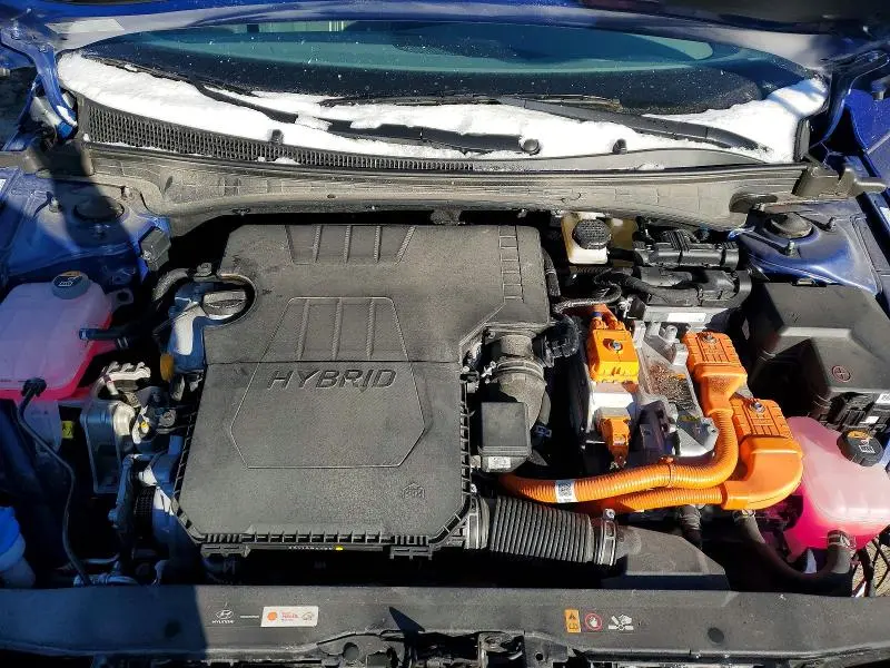 2023 HYUNDAI ELANTRA BLUE  