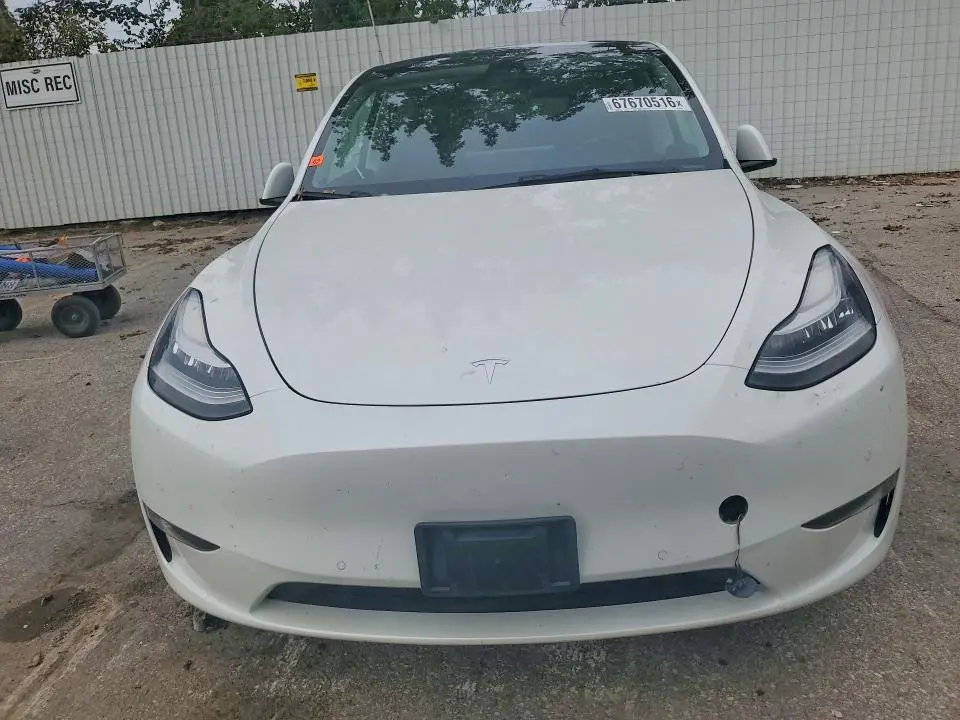 2021 TESLA MODEL Y   