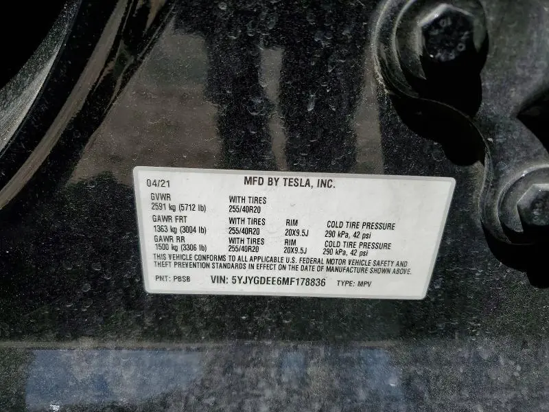 2021 TESLA MODEL Y   