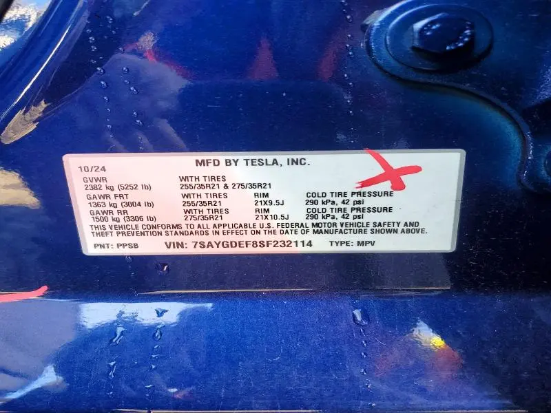 2025 TESLA MODEL Y   
